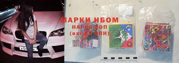 PSILOCYBIN Баксан