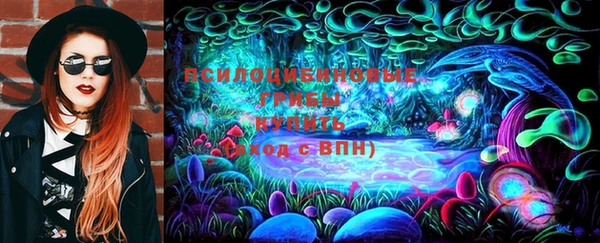 гидра Новозыбков