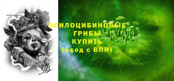 PSILOCYBIN Баксан