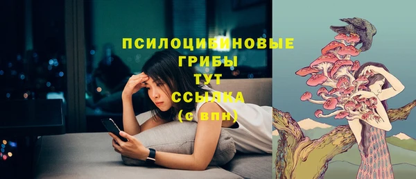 PSILOCYBIN Баксан